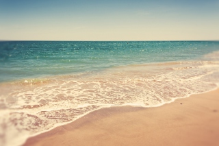 Clean Beach - Obrázkek zdarma 