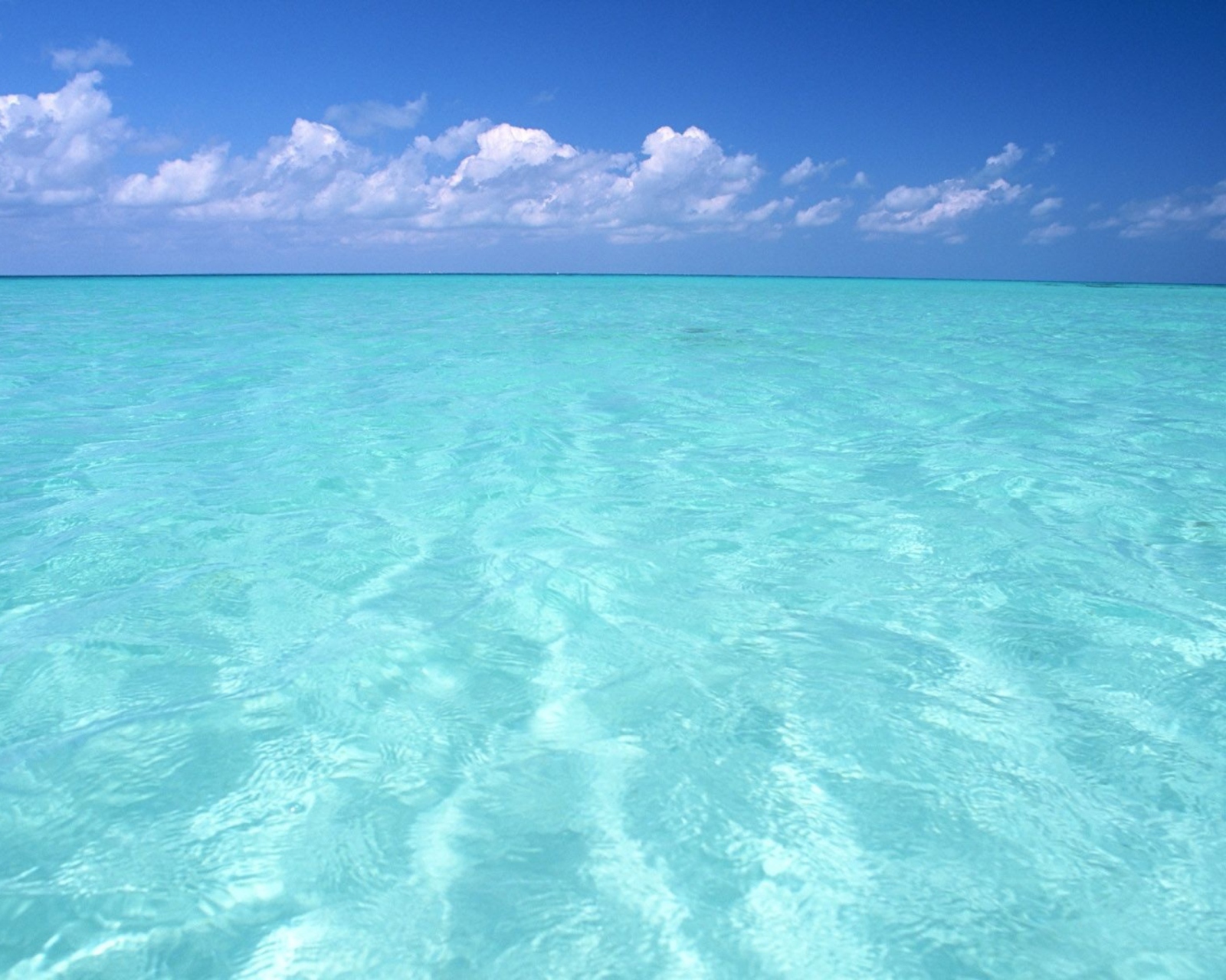 Das Teal Water And Blue Sky Wallpaper 1600x1280