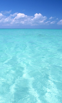 Das Teal Water And Blue Sky Wallpaper 240x400