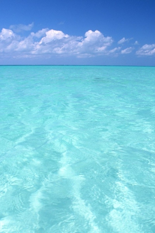 Das Teal Water And Blue Sky Wallpaper 320x480