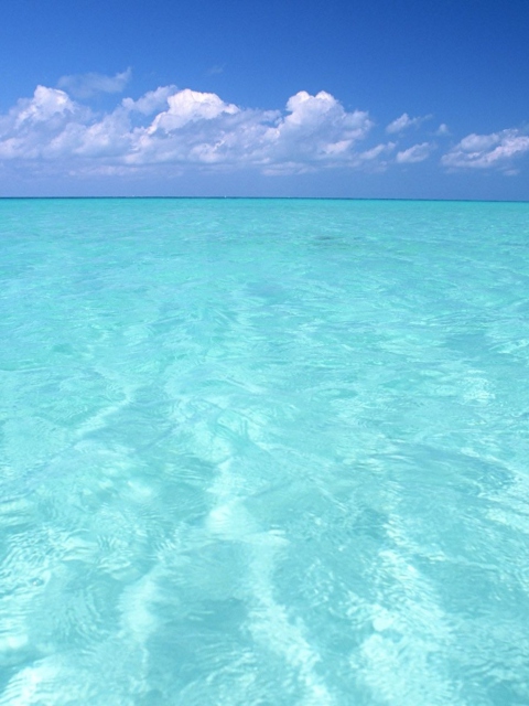 Das Teal Water And Blue Sky Wallpaper 480x640