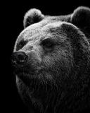 Big Bear screenshot #1 128x160