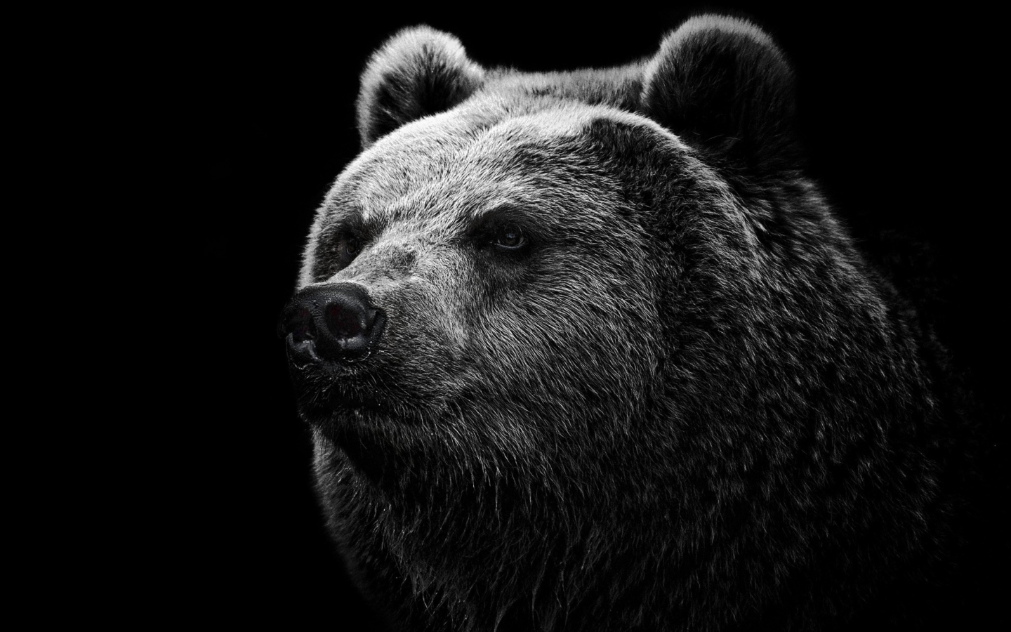 Big Bear screenshot #1 1440x900