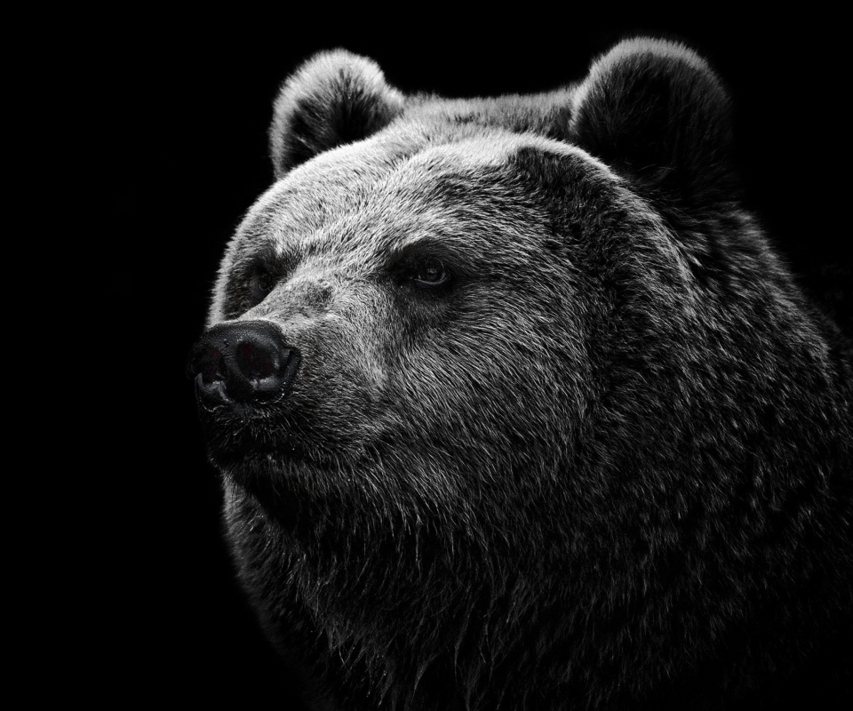 Fondo de pantalla Big Bear 960x800