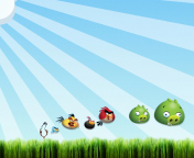 Das Angry Birds Bad Pigs Wallpaper 176x144