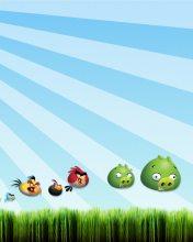 Das Angry Birds Bad Pigs Wallpaper 176x220