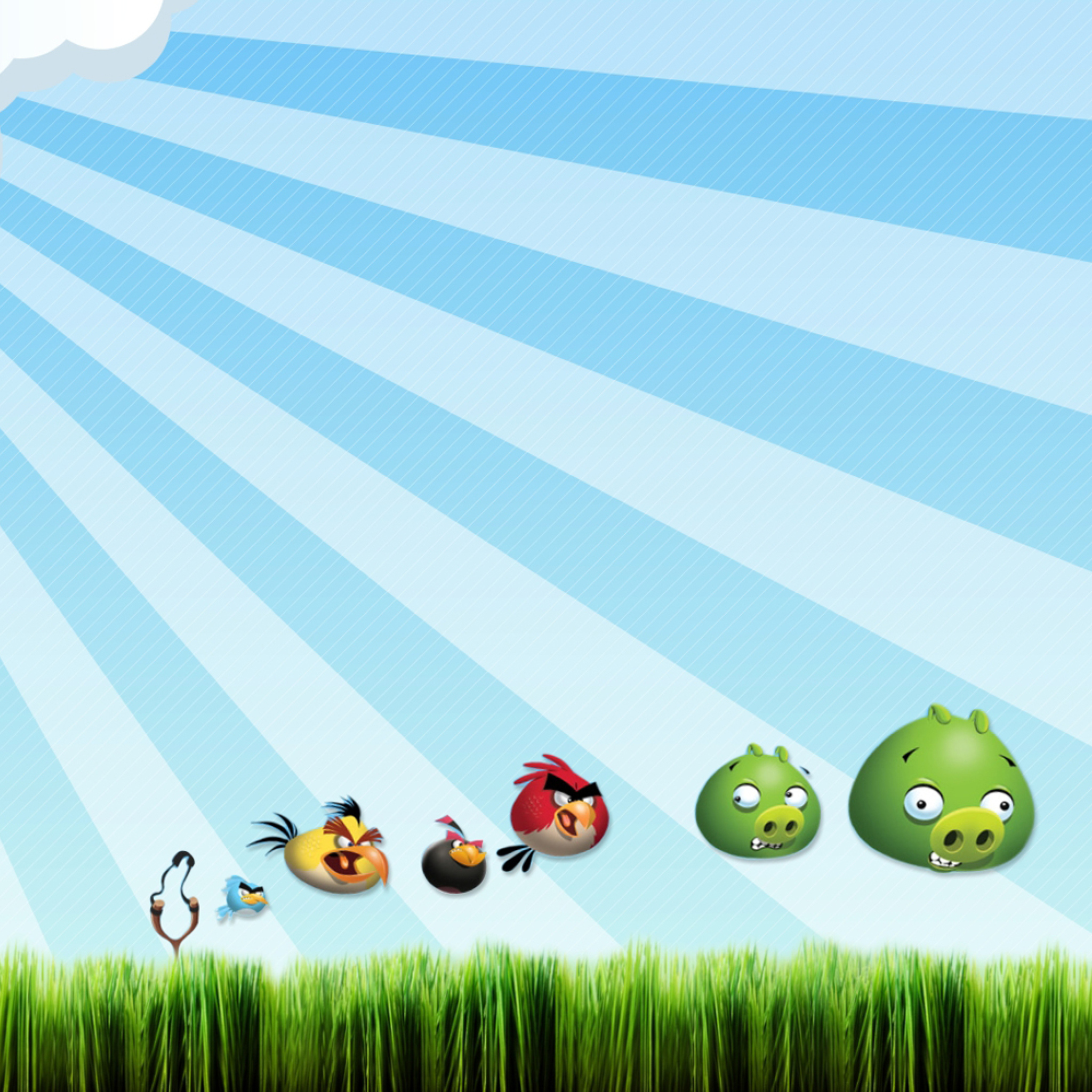 Fondo de pantalla Angry Birds Bad Pigs 2048x2048