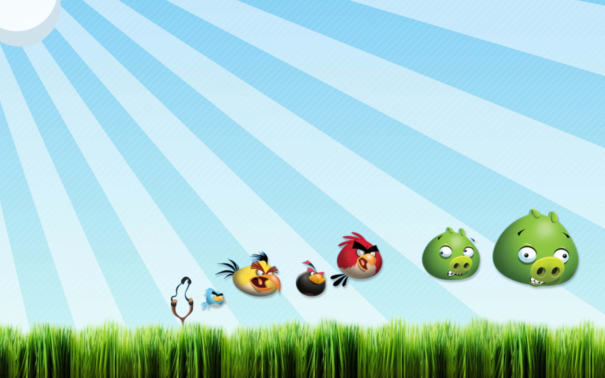 Обои Angry Birds Bad Pigs 2560x1600