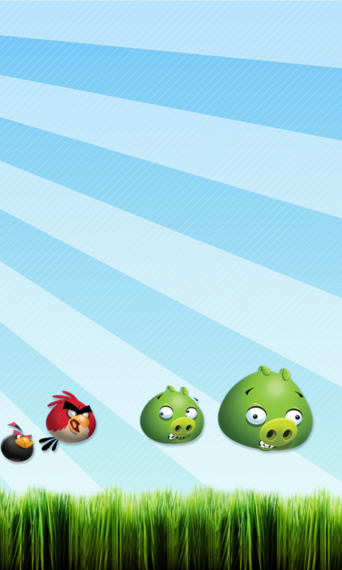 Angry Birds Bad Pigs wallpaper 480x800