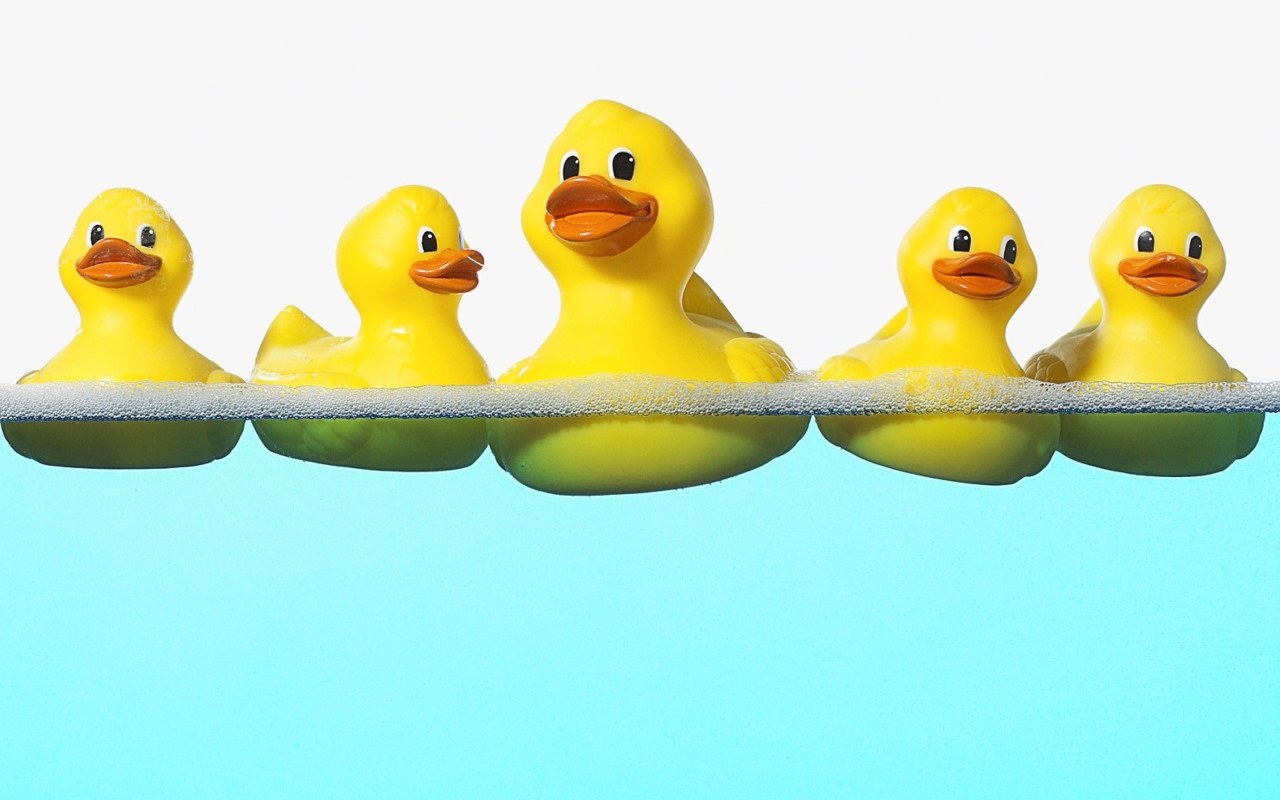 Rubber Ducks Taking Bath wallpaper 1280x800