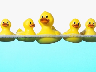 Das Rubber Ducks Taking Bath Wallpaper 320x240