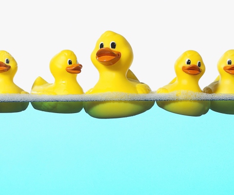 Rubber Ducks Taking Bath screenshot #1 480x400