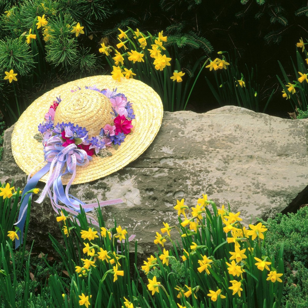 Sfondi Hat Among Yellow Flowers 1024x1024