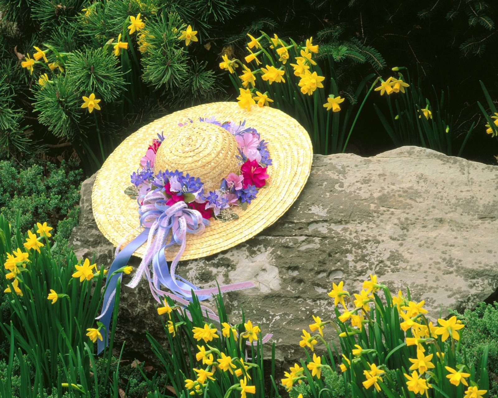 Hat Among Yellow Flowers screenshot #1 1600x1280