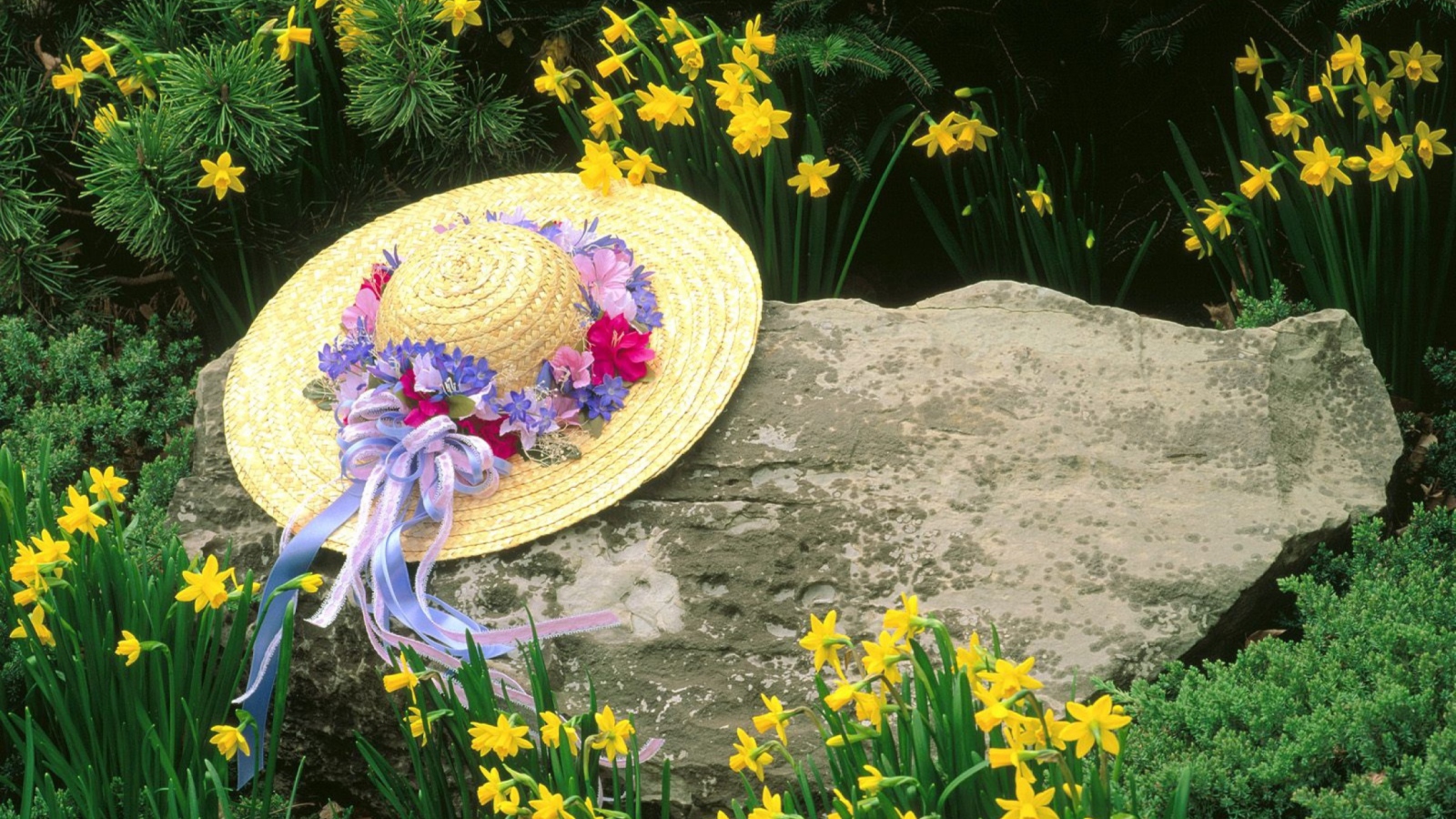 Sfondi Hat Among Yellow Flowers 1600x900