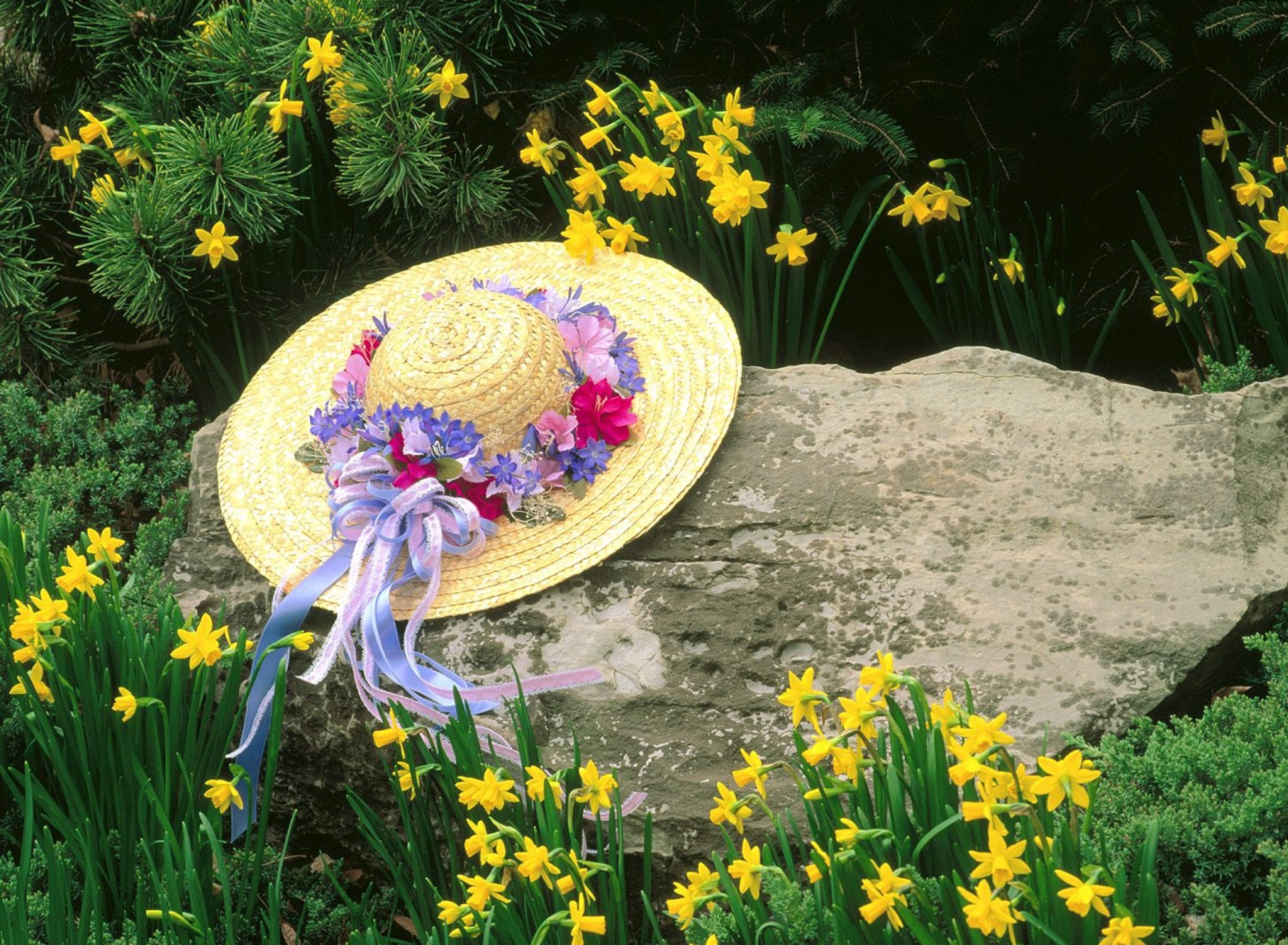 Hat Among Yellow Flowers wallpaper 1920x1408