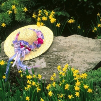 Sfondi Hat Among Yellow Flowers 208x208