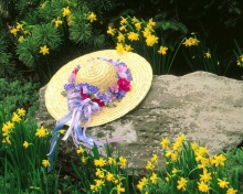 Fondo de pantalla Hat Among Yellow Flowers 220x176