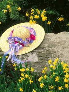 Fondo de pantalla Hat Among Yellow Flowers 240x320