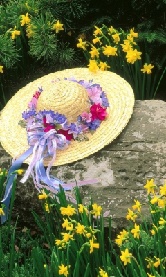 Sfondi Hat Among Yellow Flowers 240x400