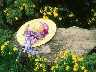 Обои Hat Among Yellow Flowers 320x240