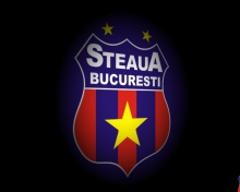 Das FC Steaua Wallpaper 220x176