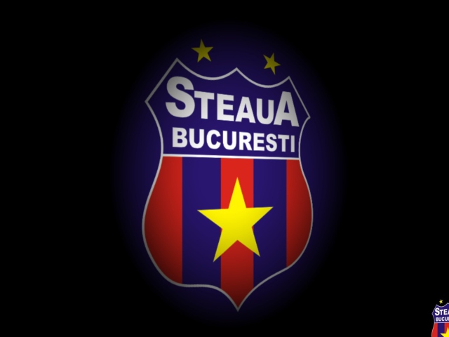 Das FC Steaua Wallpaper 640x480