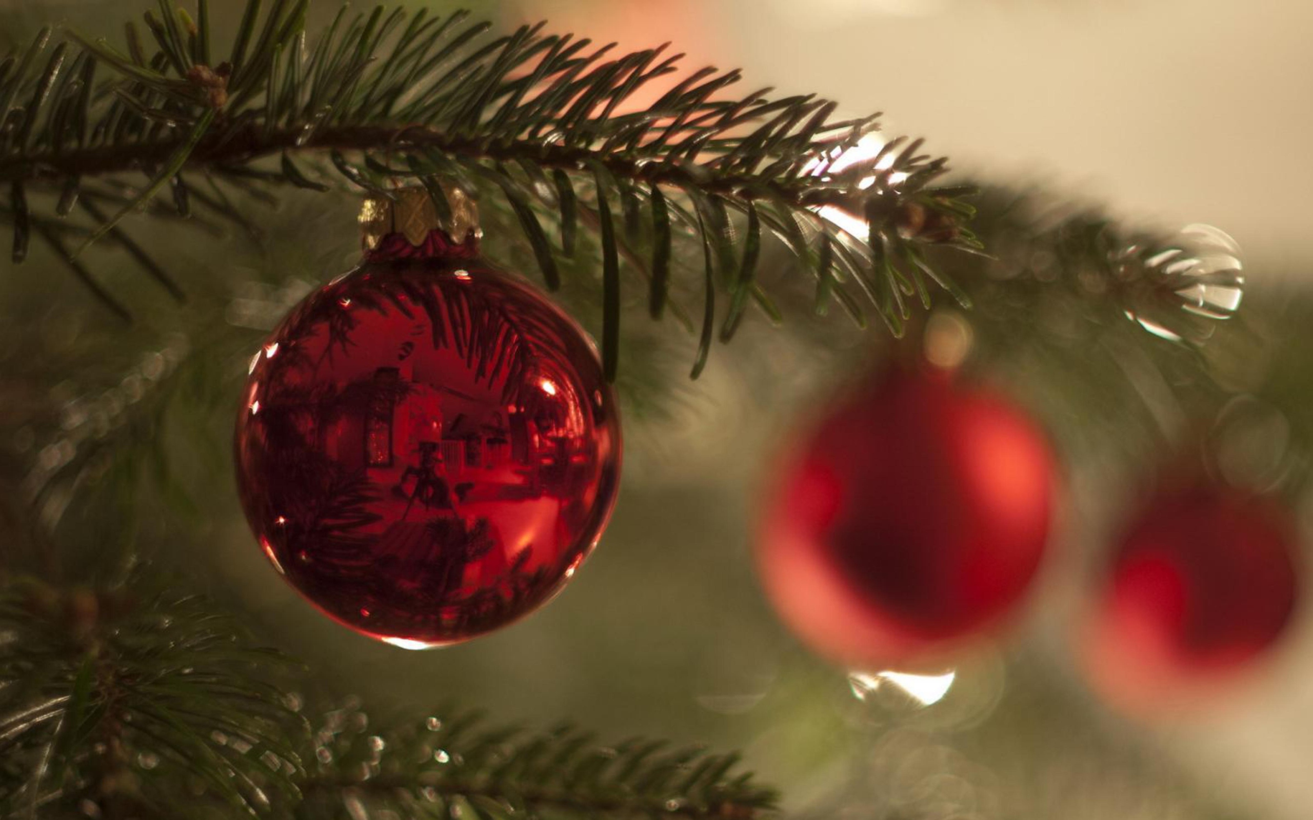Обои Red Balls On Christmas Tree 2560x1600