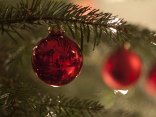 Red Balls On Christmas Tree screenshot #1 320x240