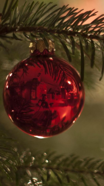 Обои Red Balls On Christmas Tree 360x640