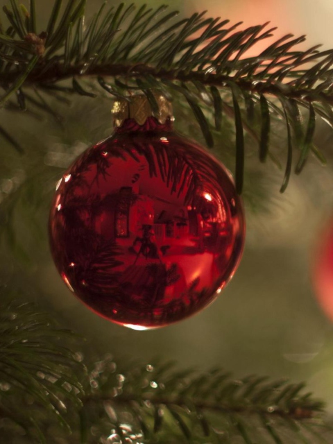 Обои Red Balls On Christmas Tree 480x640