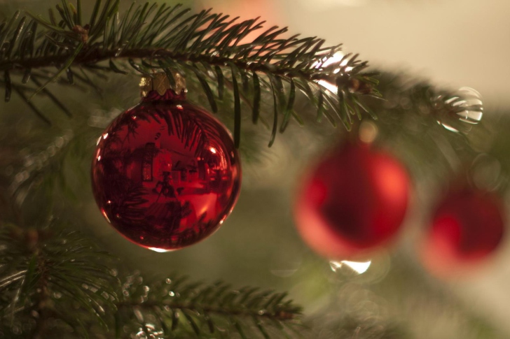 Red Balls On Christmas Tree wallpaper