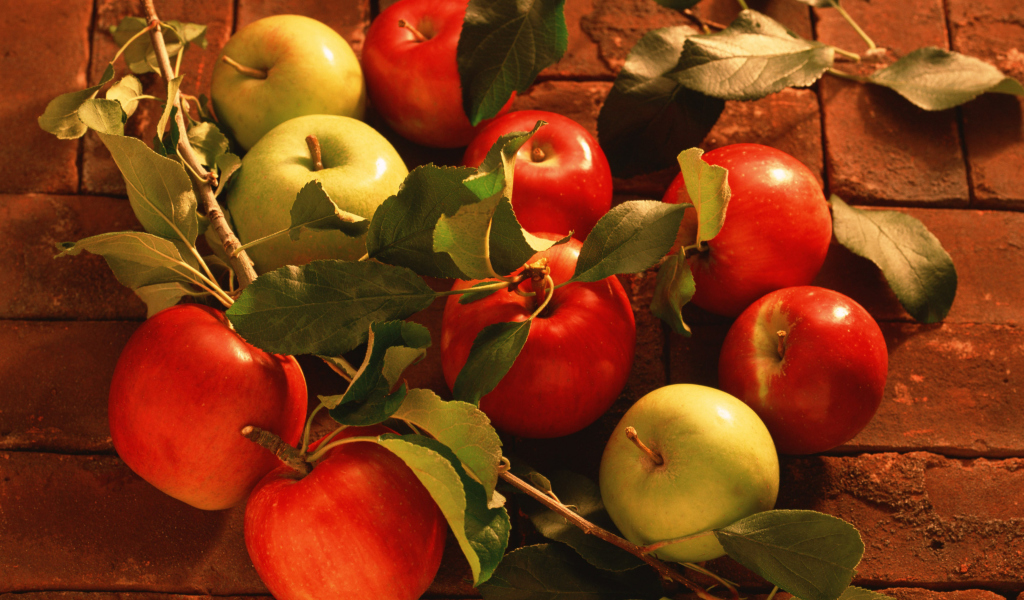 Fresh Autumn Apples wallpaper 1024x600