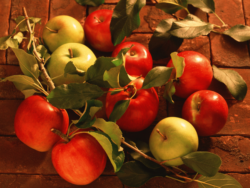 Das Fresh Autumn Apples Wallpaper 1024x768