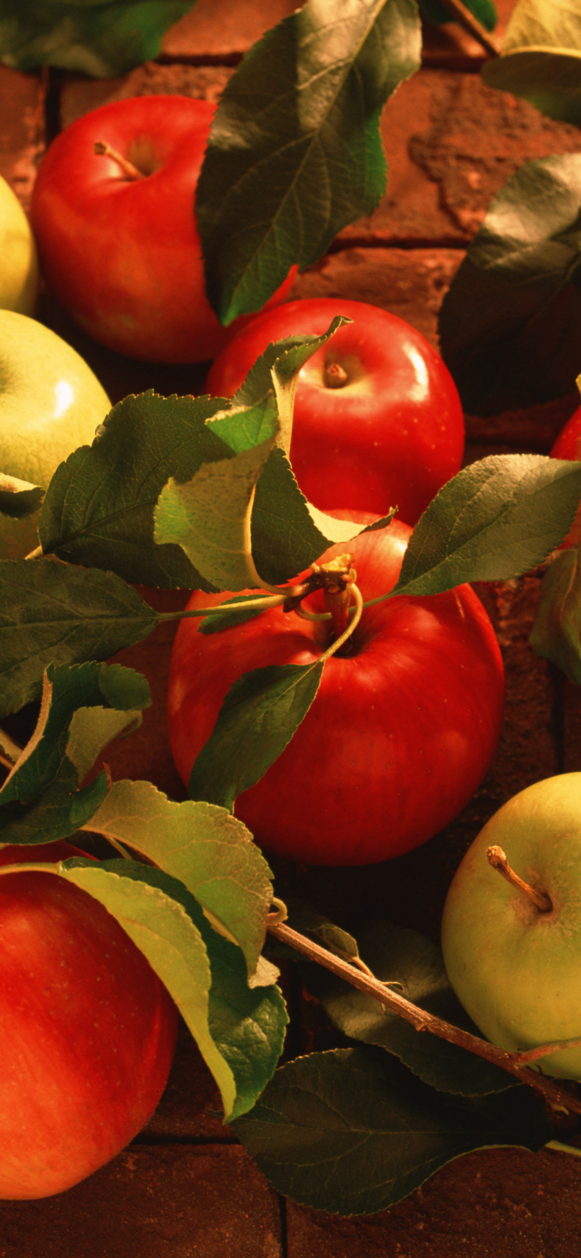 Fresh Autumn Apples wallpaper 1170x2532