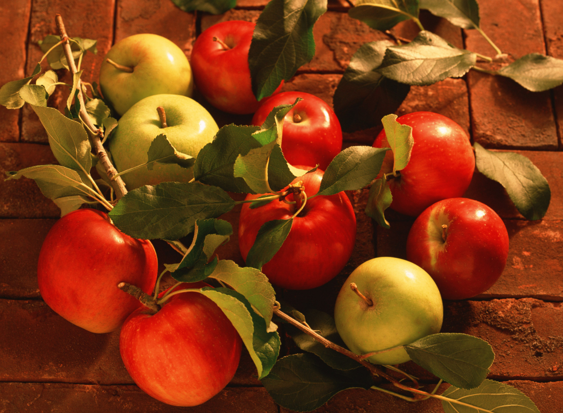 Fondo de pantalla Fresh Autumn Apples 1920x1408