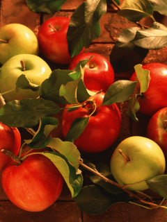 Das Fresh Autumn Apples Wallpaper 240x320