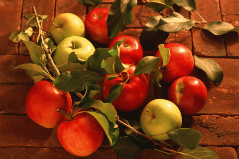 Fresh Autumn Apples wallpaper 480x320