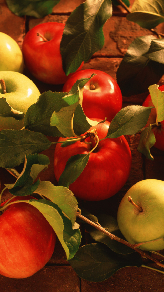 Fresh Autumn Apples wallpaper 640x1136