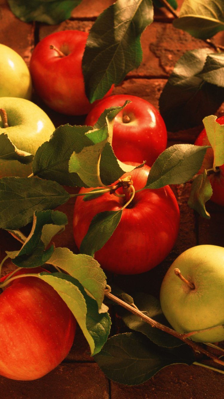 Das Fresh Autumn Apples Wallpaper 750x1334