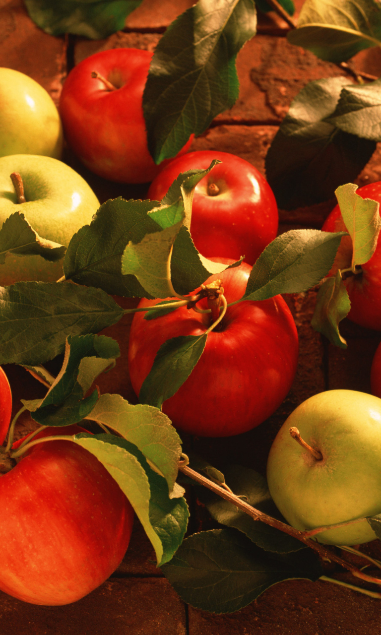 Fresh Autumn Apples wallpaper 768x1280