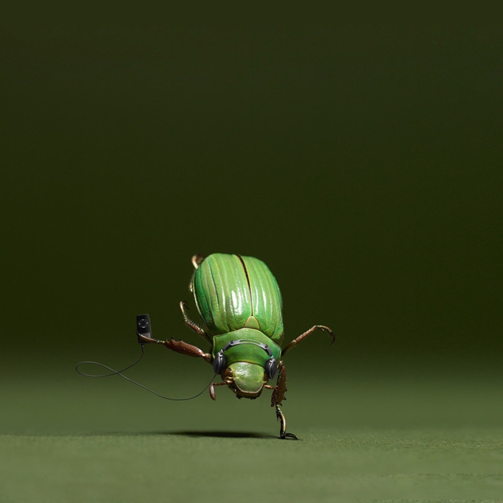 Das Green Bug Wallpaper 1024x1024
