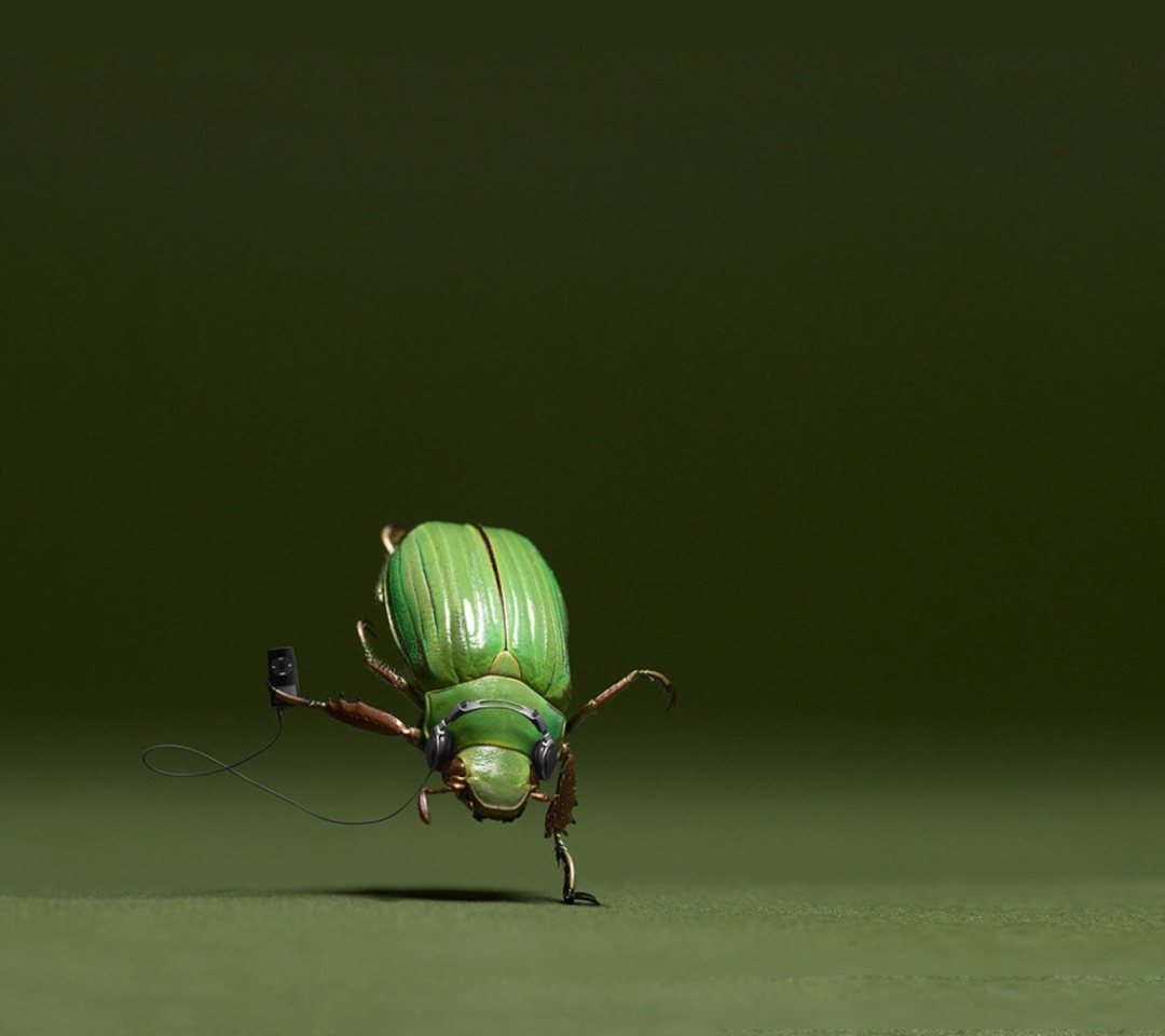 Обои Green Bug 1080x960