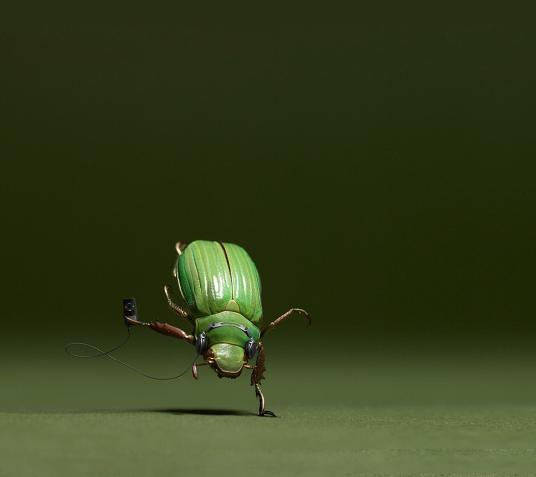 Fondo de pantalla Green Bug 1080x960