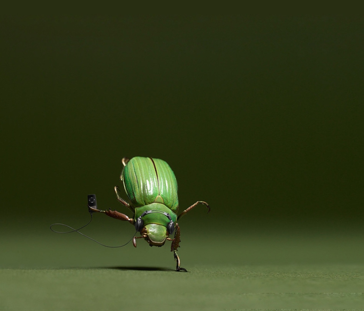 Green Bug screenshot #1 1200x1024