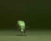 Green Bug screenshot #1 176x144
