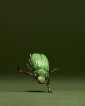 Das Green Bug Wallpaper 176x220