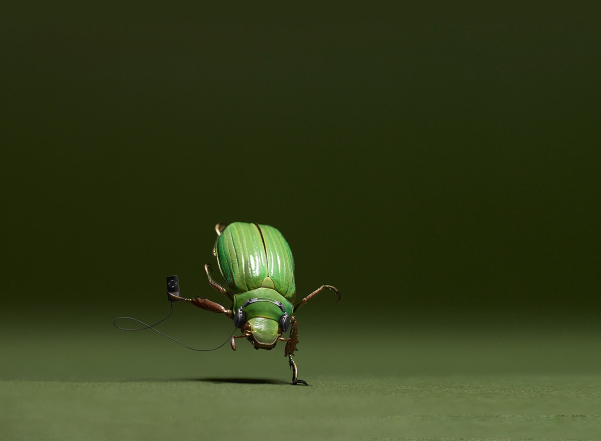 Обои Green Bug 1920x1408