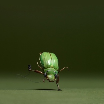 Green Bug screenshot #1 208x208