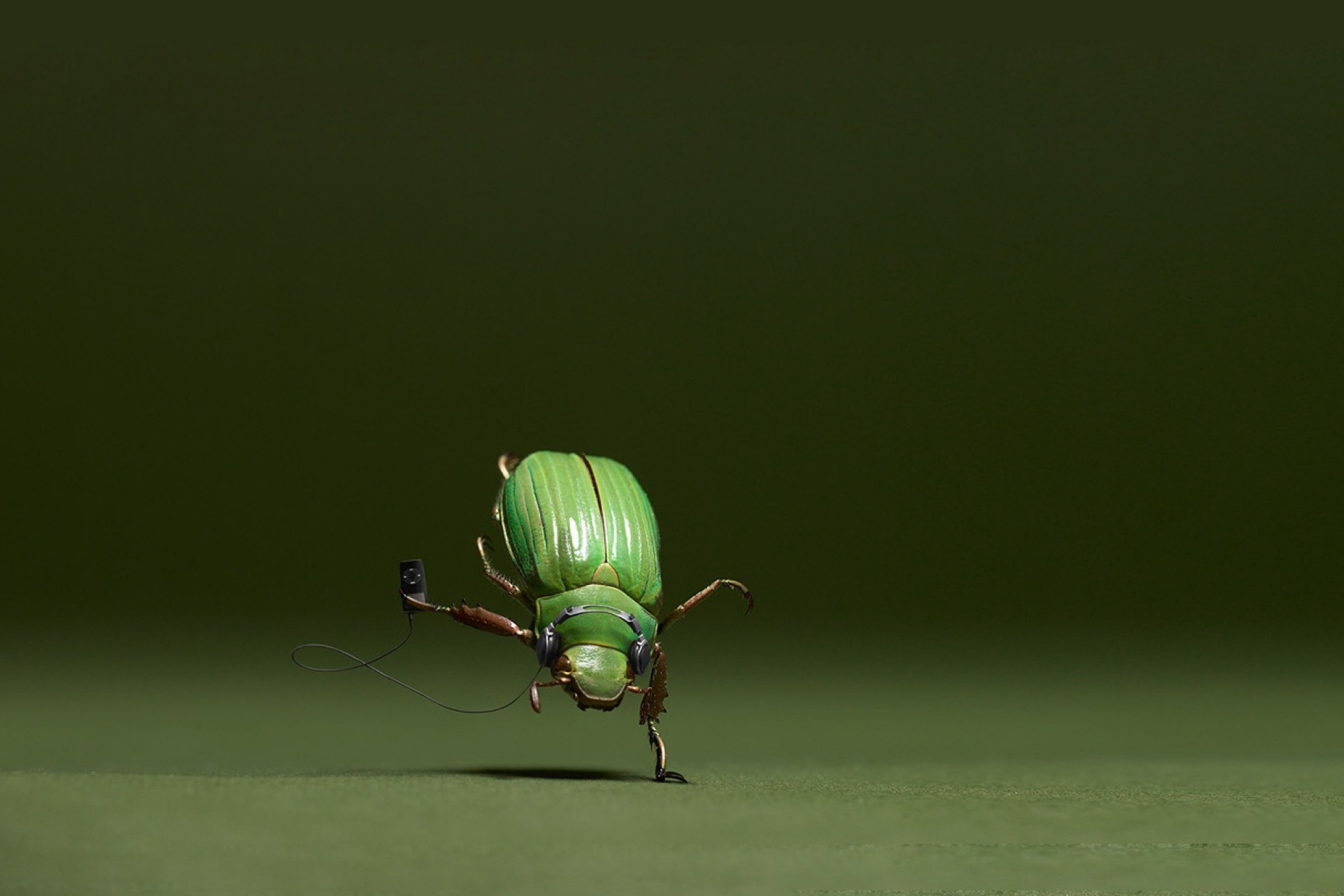 Green Bug wallpaper 2880x1920